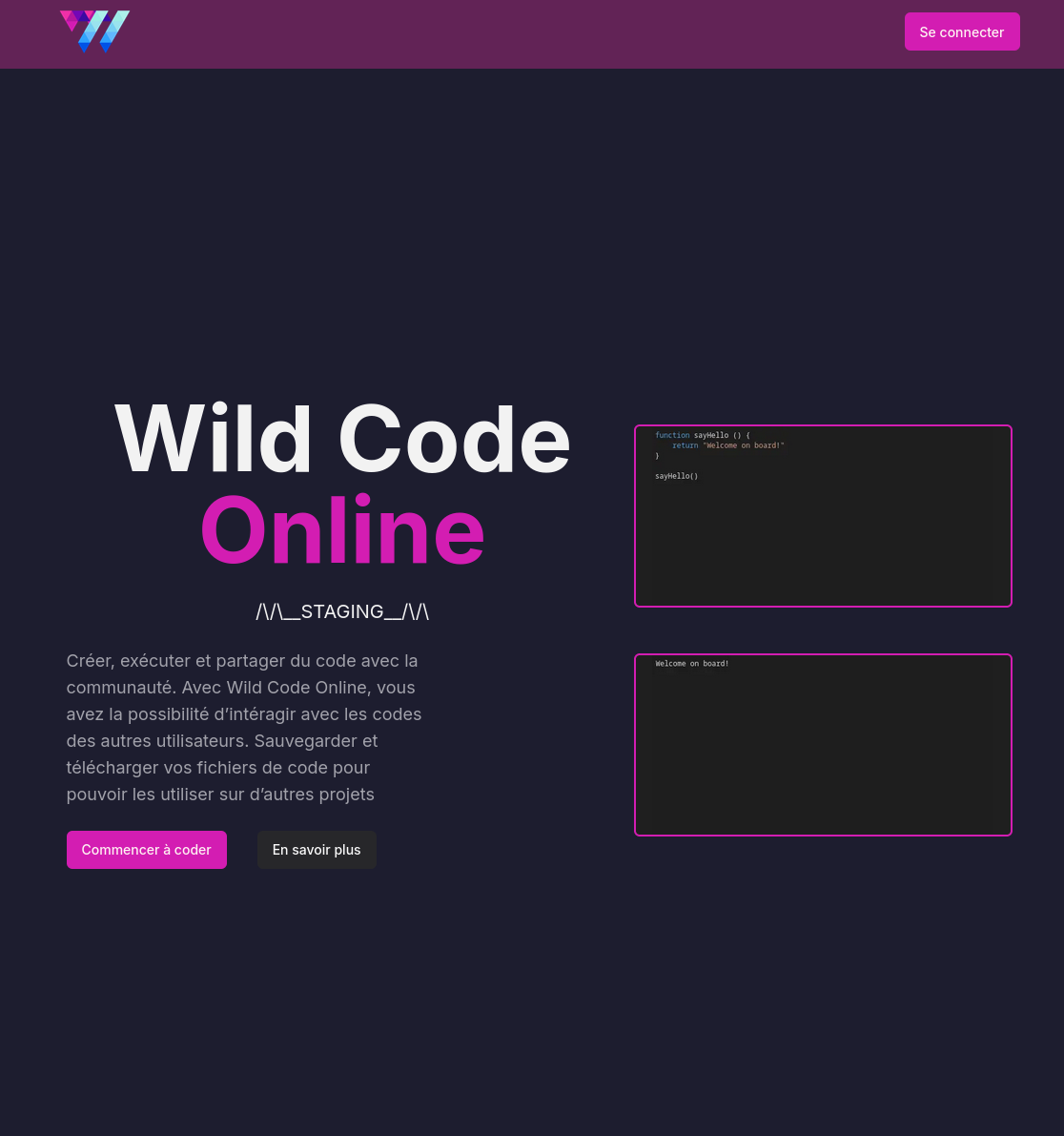 Wild Code Online - Image 11